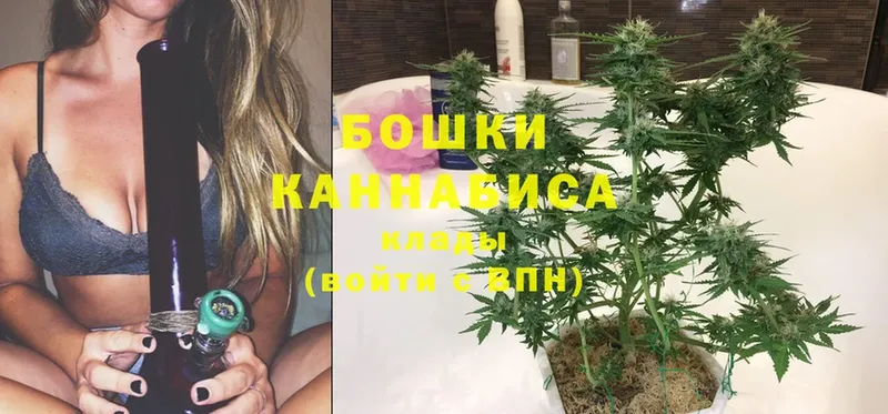 Канабис Bruce Banner  mega как войти  Дубна  закладки 